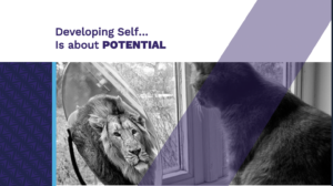 #870 COACHING Individuel – PARCOURS DE CLARTÉ INTÉRIEURE